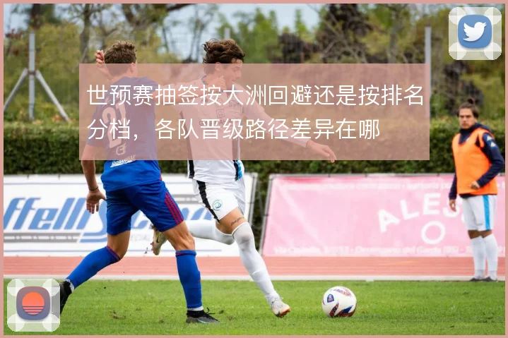 世预赛抽签按大洲回避还是按排名分档,各队晋级路径差异在哪