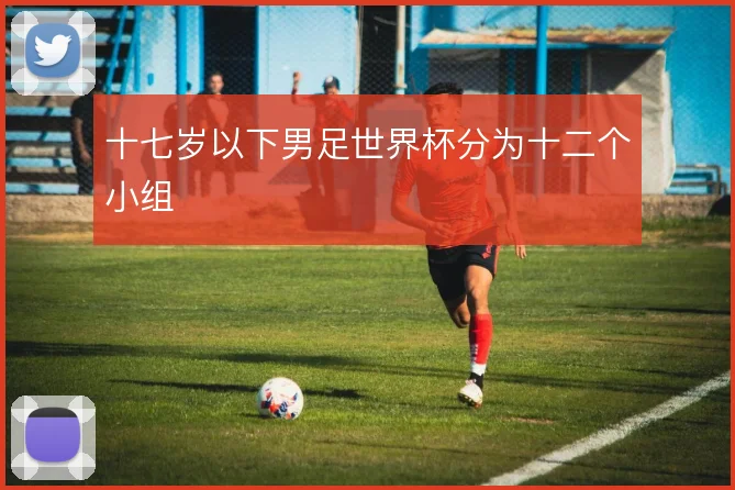 十七岁以下男足世界杯分为十二个小组