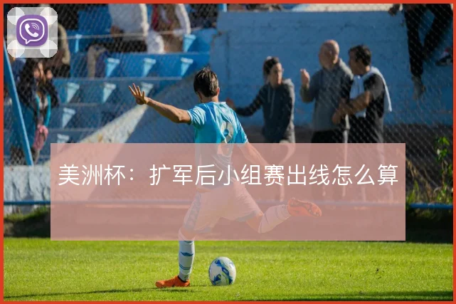 美洲杯：扩军后小组赛出线怎么算