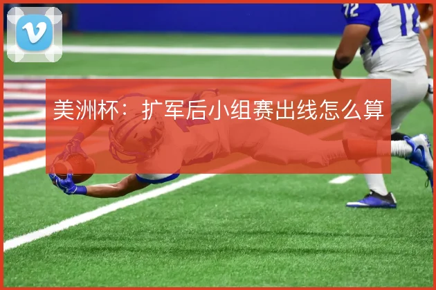 美洲杯：扩军后小组赛出线怎么算